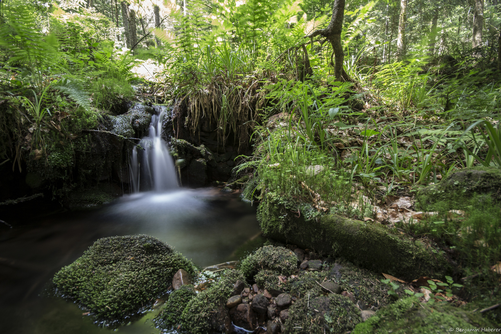 Kleiner Bachlauf in der Nähe der kleinen Kinzig