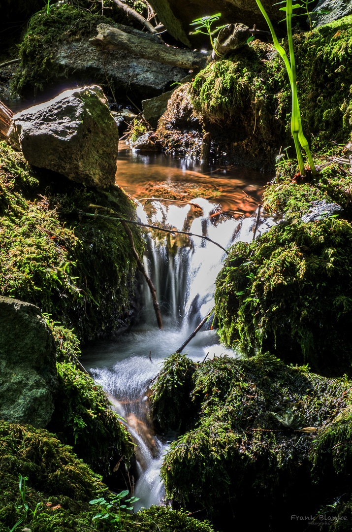 Kleiner Bachlauf in Steinau