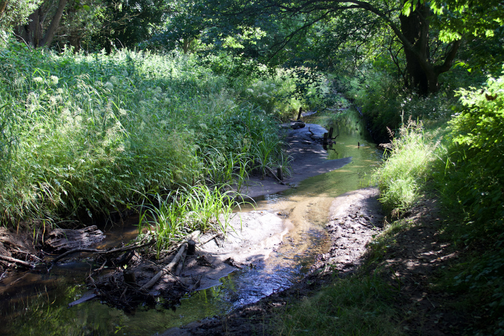 Kleiner Bachverlauf im Westen des Öjendorfer Sees in Hamburg