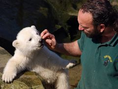 Kleiner Bär ganz cool...