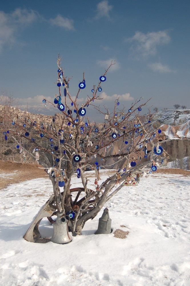 Kleiner Baum der blauen Augen