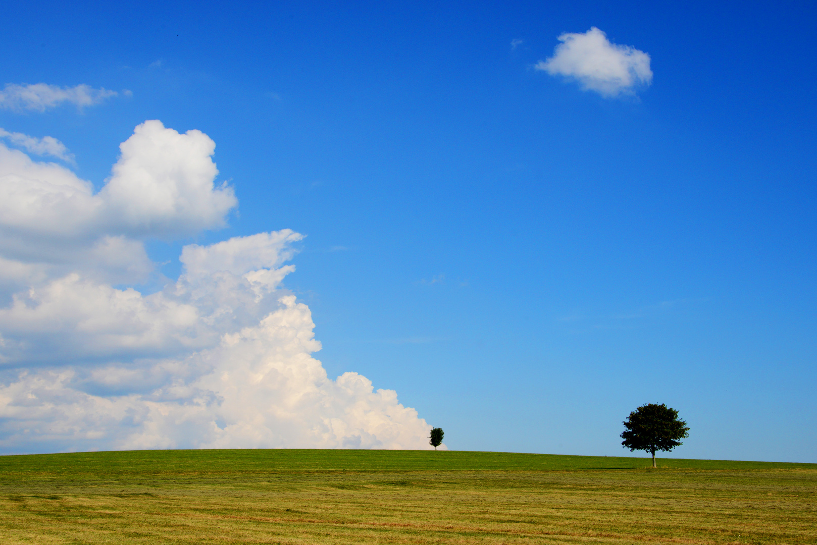 kleiner Baum grosse Wolke/ grosser Baum kleine Wolke