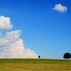 kleiner Baum grosse Wolke/ grosser Baum kleine Wolke