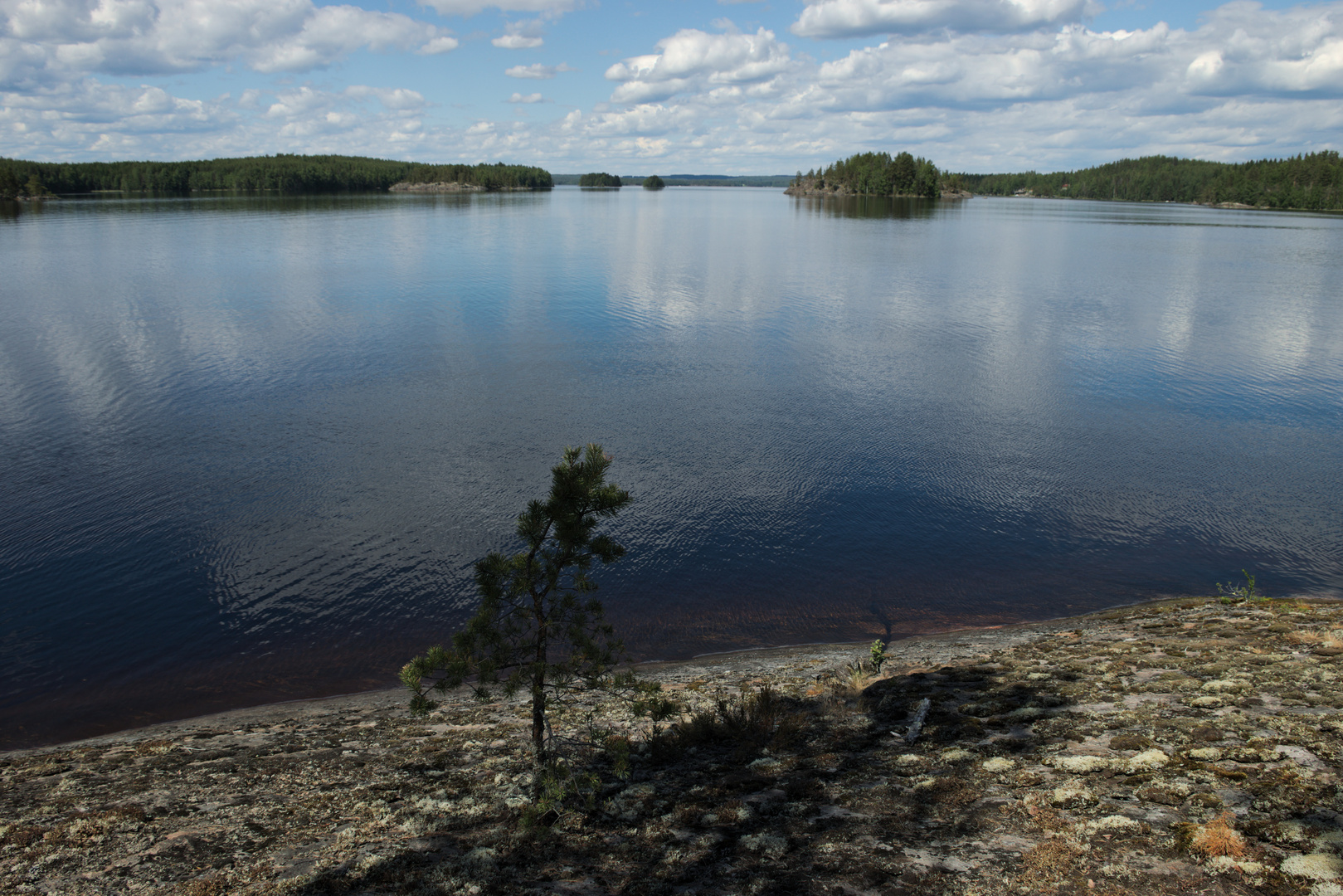 Kleiner Baum - großer See