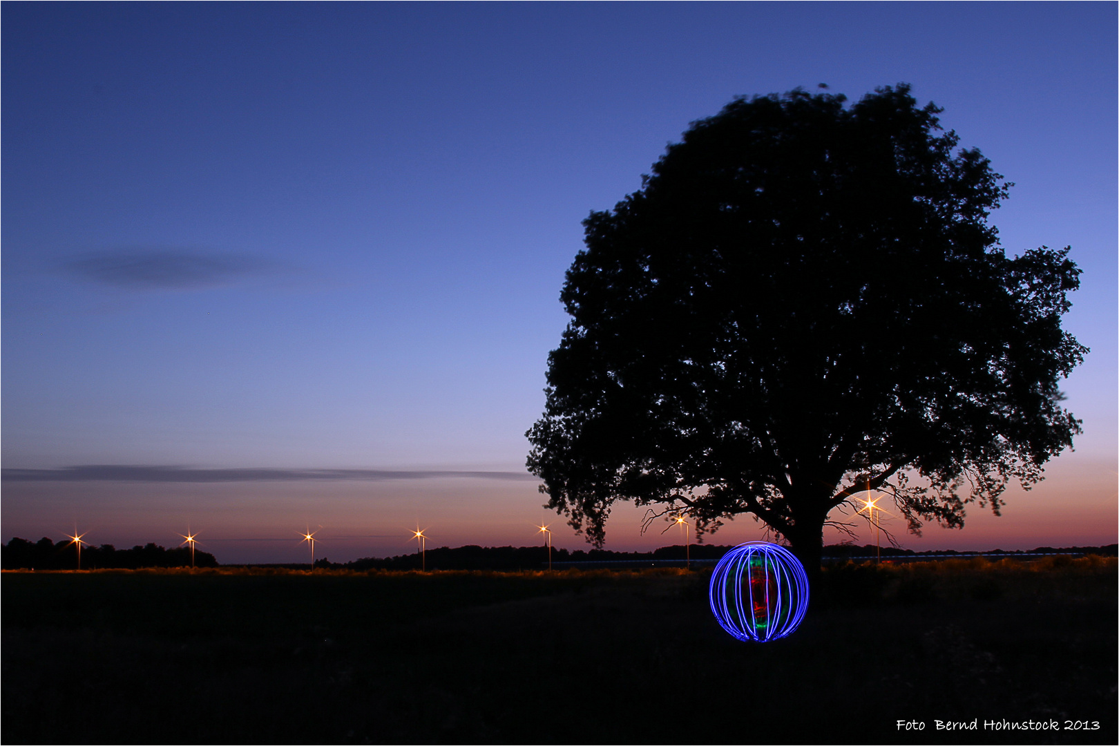 kleiner Baum Orb ....