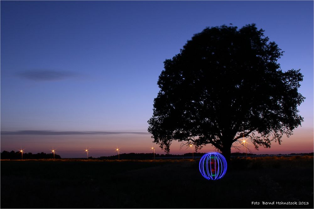 kleiner Baum Orb ....