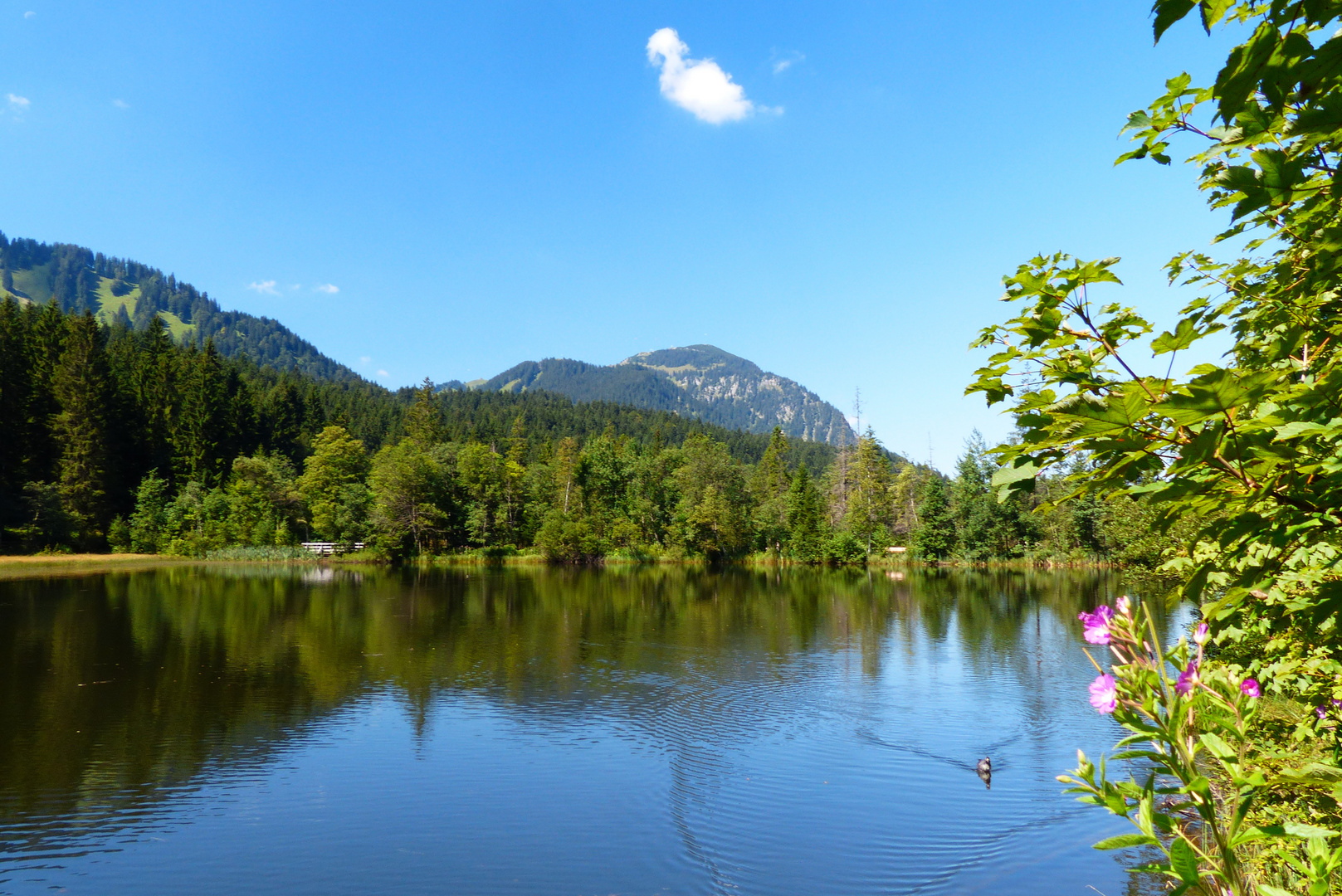 kleiner  Bergsee auf der Moni-Alm