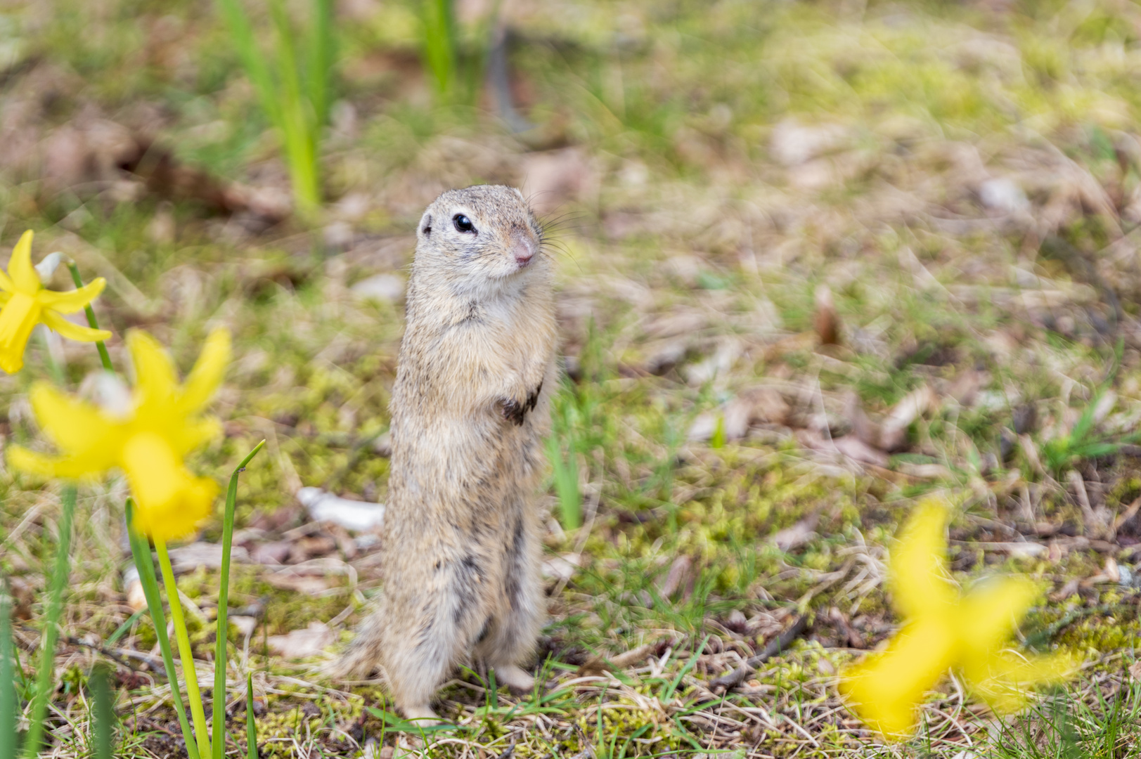 "Kleiner" Besuch im Tiergarten 2