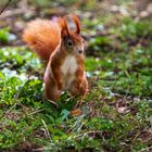 "Kleiner" Besuch im Tiergarten 4