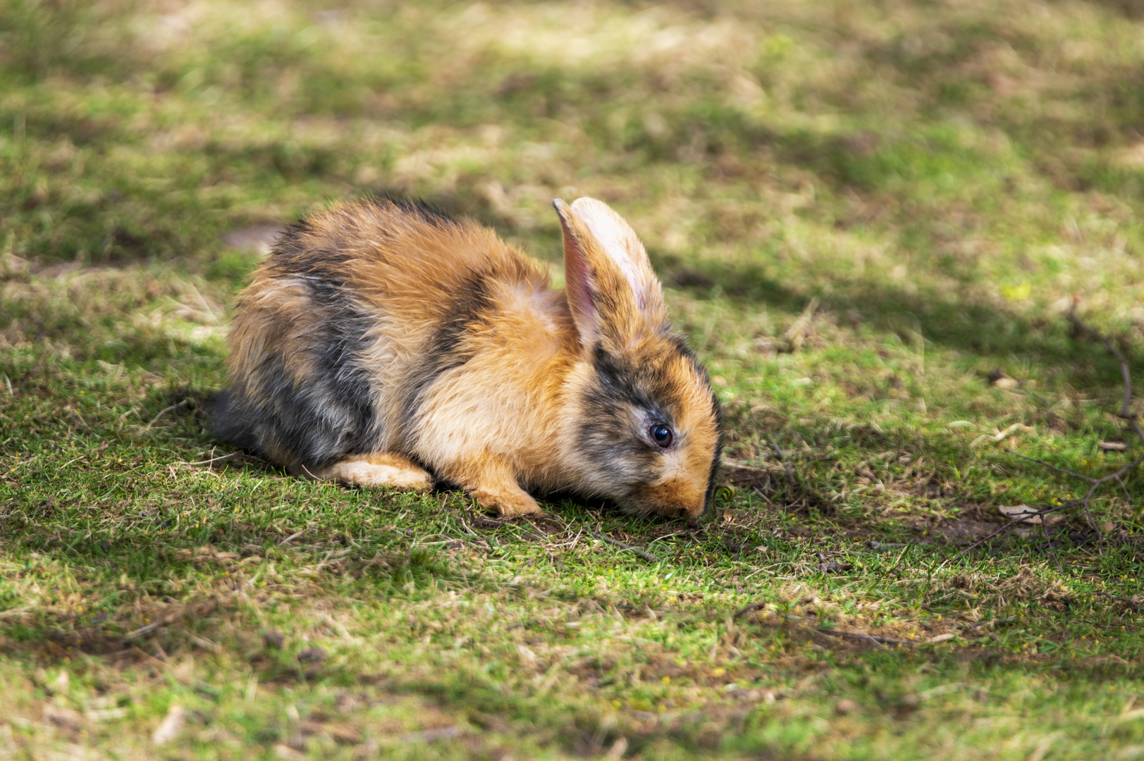 "Kleiner" Besuch im Tiergarten 5