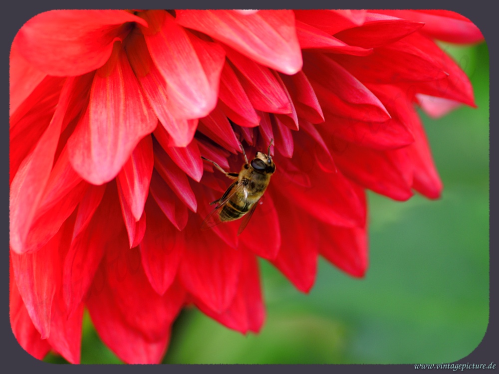 Kleiner Besucher bei der Arbeit die dritte