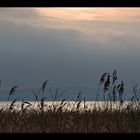 Kleiner Bodden