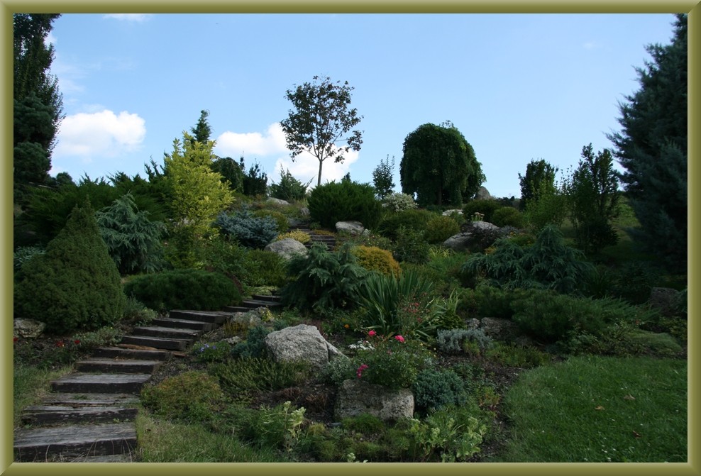 kleiner Botanischer Garten II