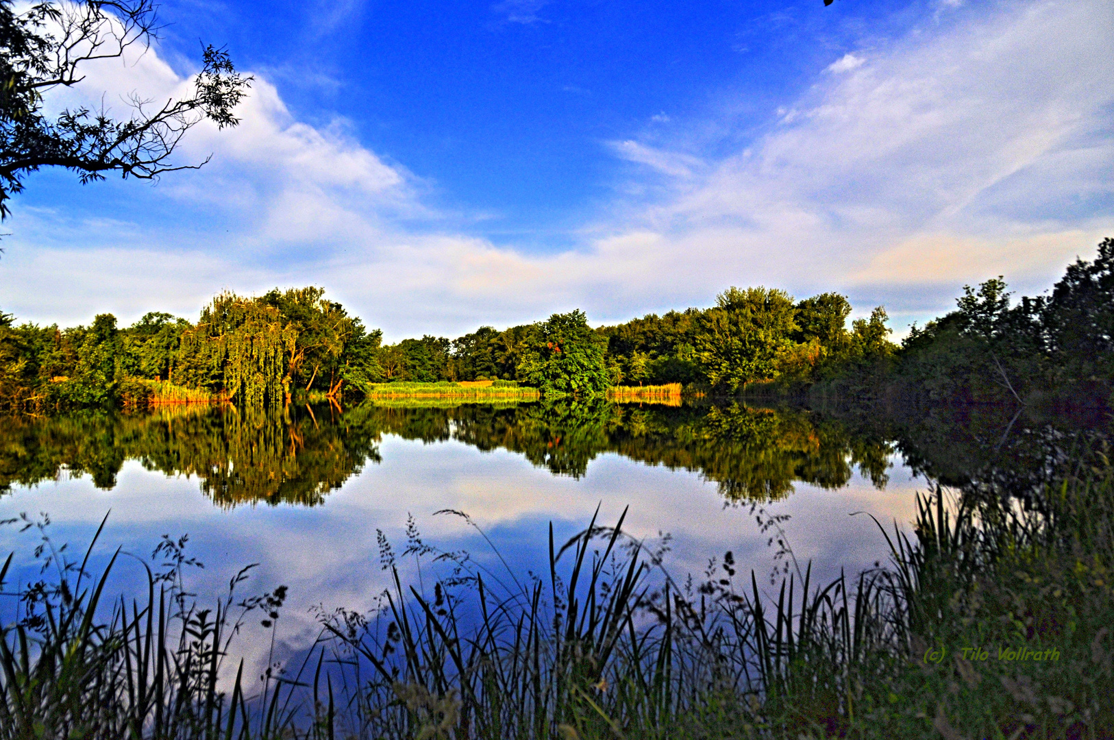 Kleiner Brandsee - Hasselbacher Teiche