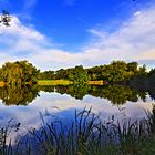 Kleiner Brandsee - Hasselbacher Teiche