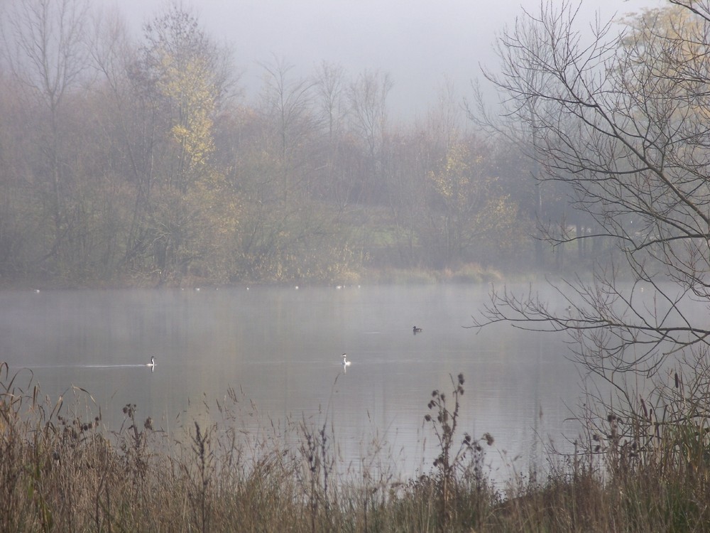 kleiner Brombachsee