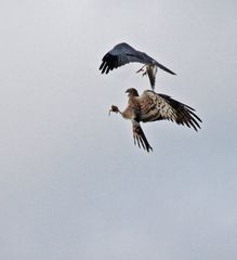 Kleiner Circel-Gruß für Martin!