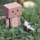 Kleiner Danbo 