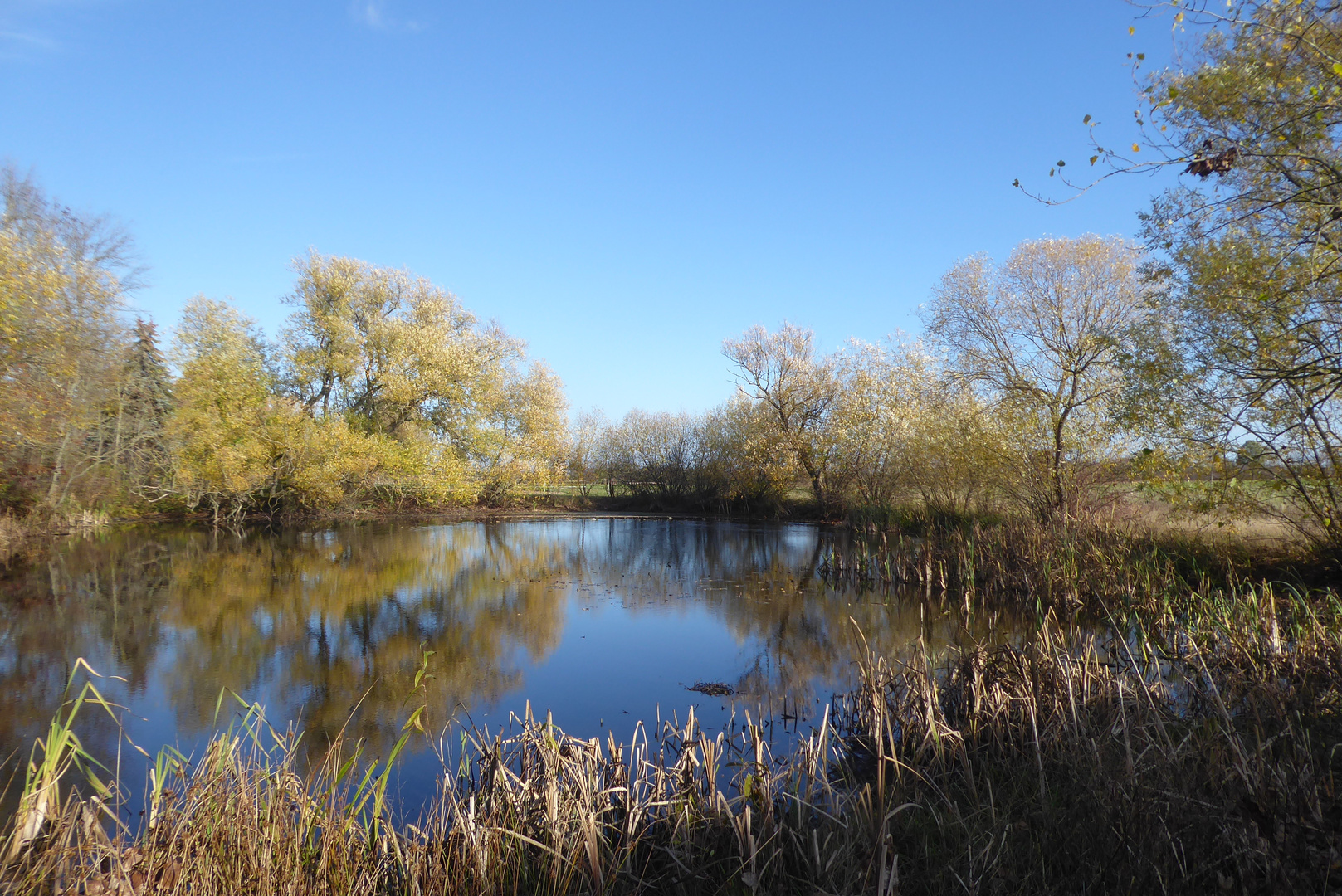 Kleiner Dorfteich in der Mittagssonne