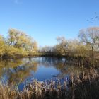 Kleiner Dorfteich in der Mittagssonne