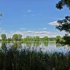 Kleiner Dutzendteich