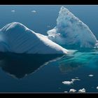 Kleiner Eisberg im Antarctic Sound