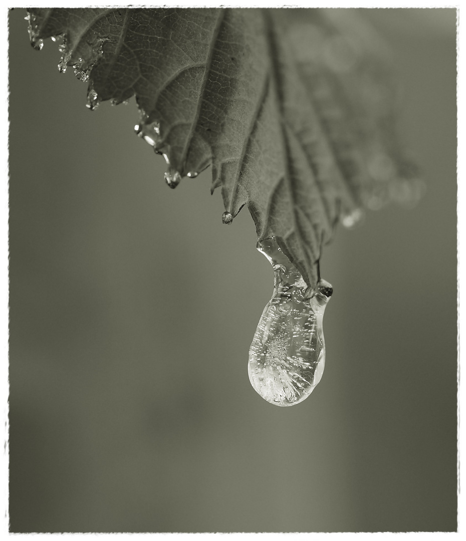 Kleiner Eistropfen