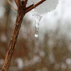 Kleiner Eiszapfen