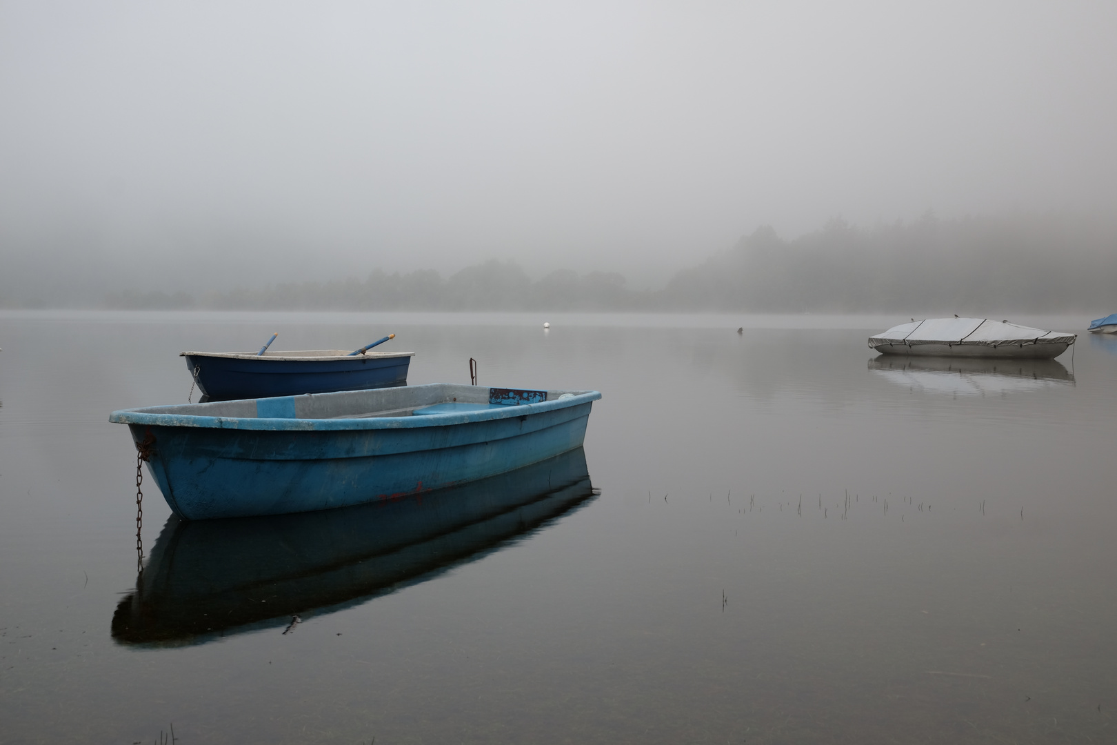 Kleiner Farbtupfer im Morgennebel