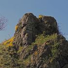 Kleiner Felsen in Vlastislav mitten im Ort im Böhmischen Mittelgebirge jetzt im Frühlingskleid