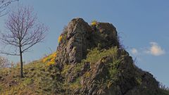 Kleiner Felsen in Vlastislav mitten im Ort im Böhmischen Mittelgebirge jetzt im Frühlingskleid