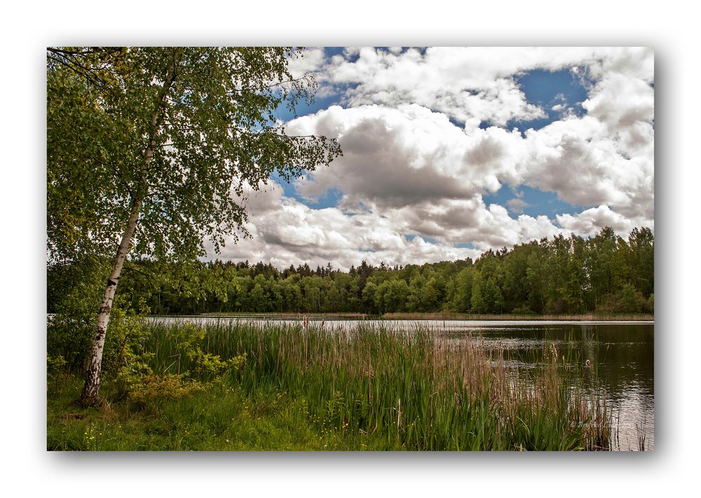 Kleiner Filzteich