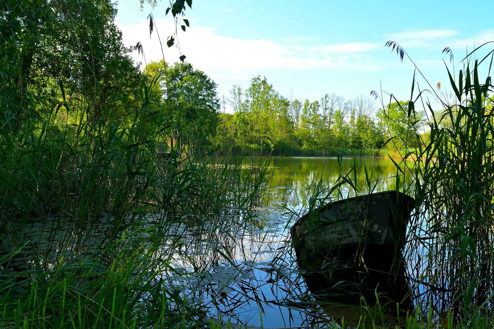 Kleiner Fischteich Donau-Ries