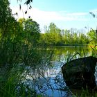 Kleiner Fischteich Donau-Ries