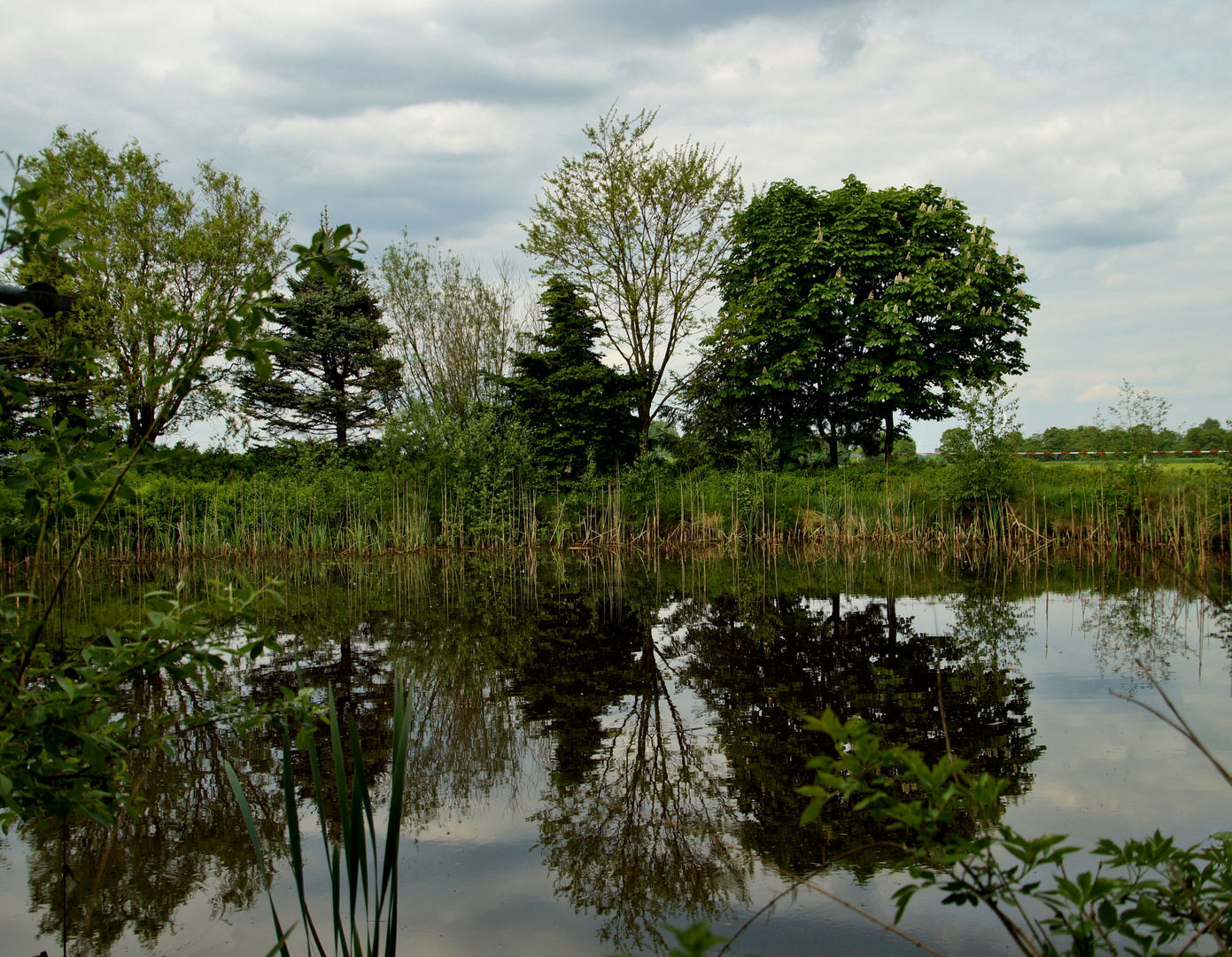 Kleiner Fischteich I