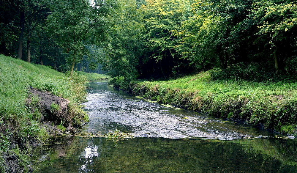 Kleiner Fluss