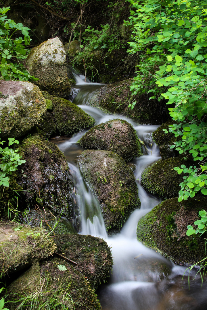 Kleiner Fluss ganz groß