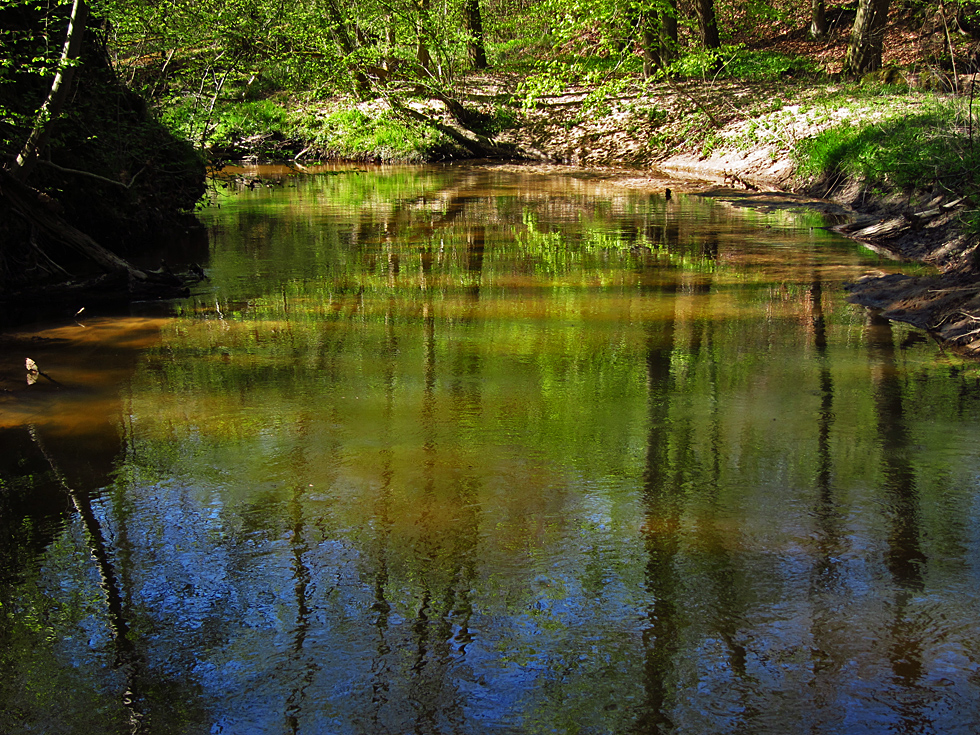 Kleiner Fluß im Elsass