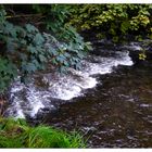 Kleiner Fluss im Vogtland