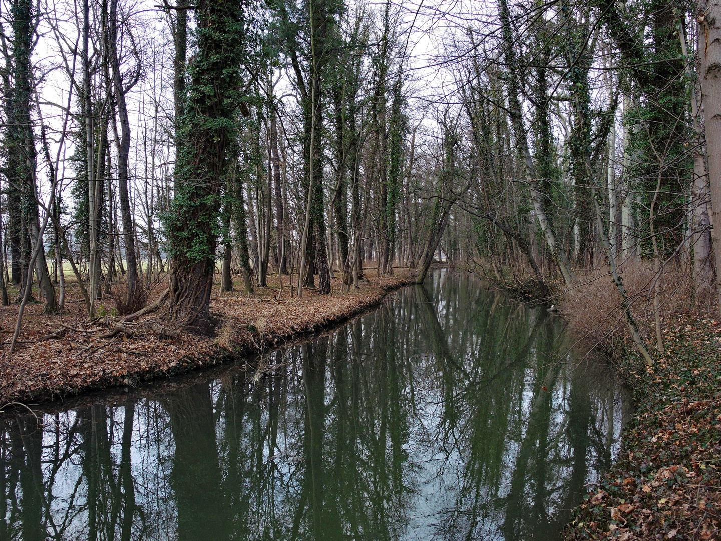 Kleiner Fluß im Wald #1