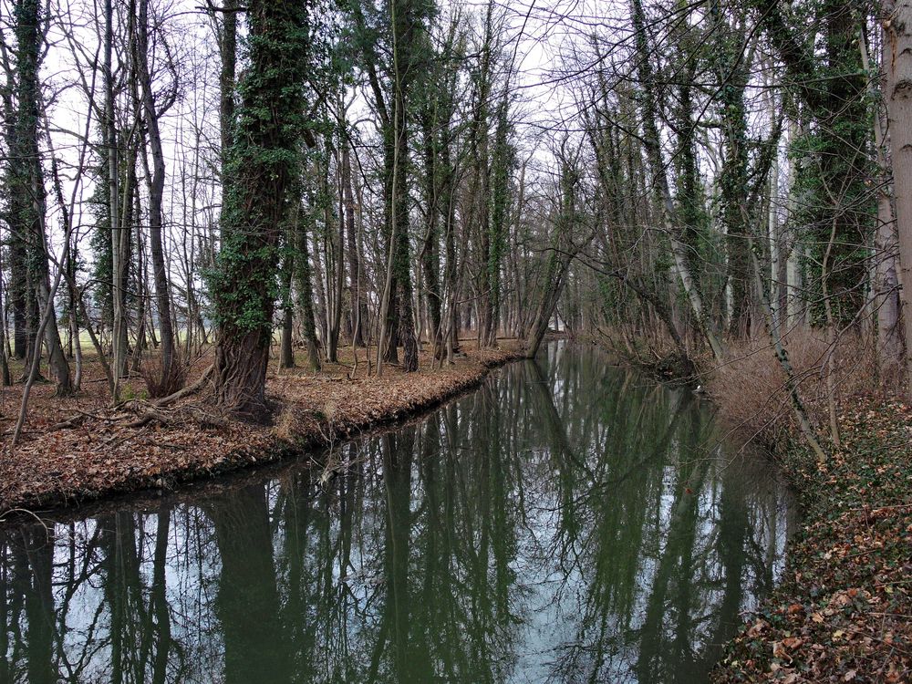 Kleiner Fluß im Wald #1