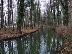 Kleiner Fluß im Wald #1