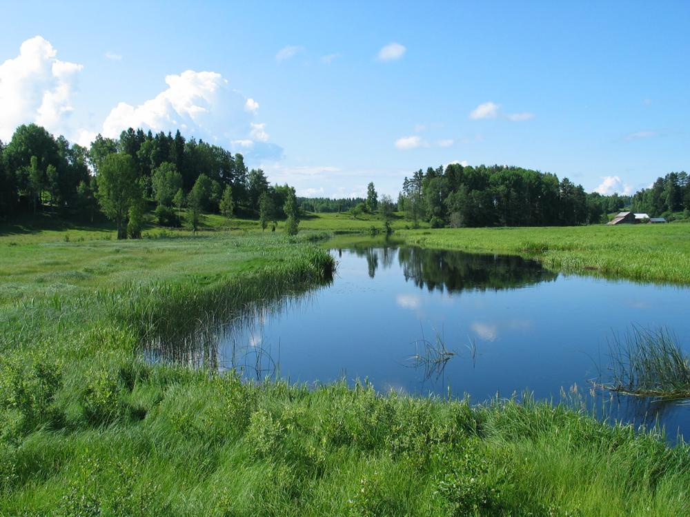 Kleiner Fluß in Schweden