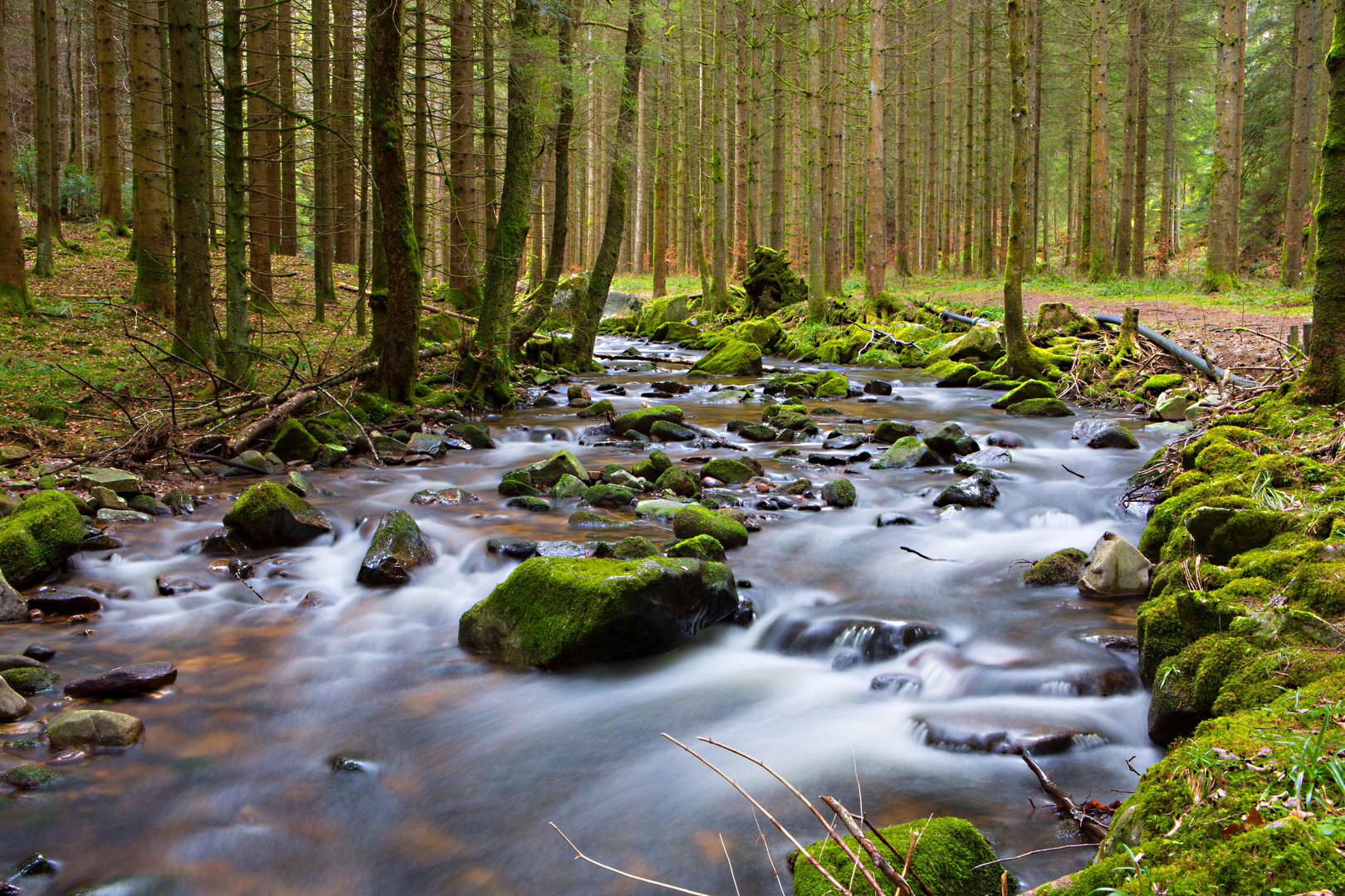 Kleiner Fluss mitten im Schwarzwald