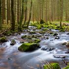 Kleiner Fluss mitten im Schwarzwald