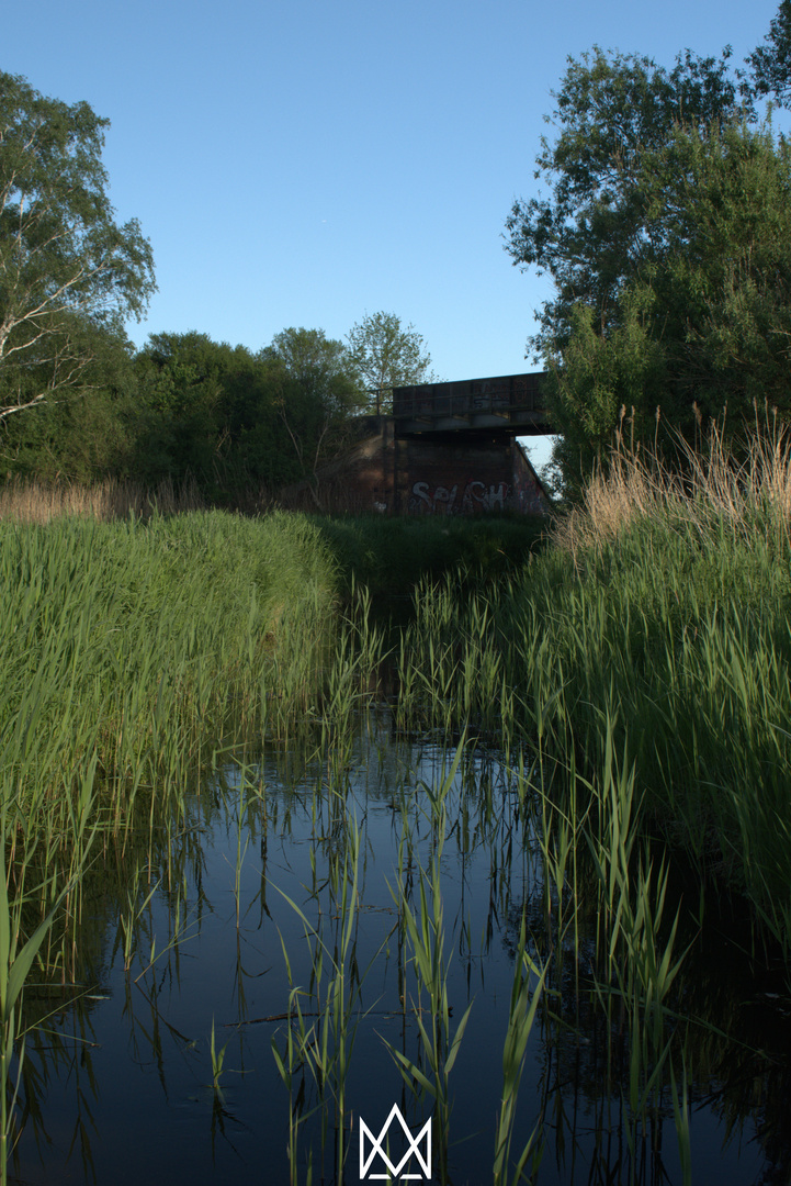 kleiner Fluss unter einer Brücke