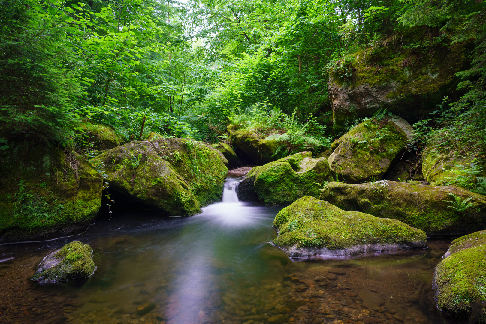 Kleiner Flusslauf