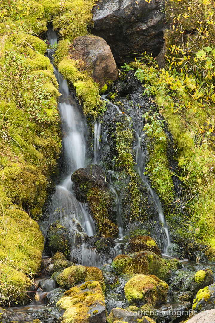 kleiner Foss