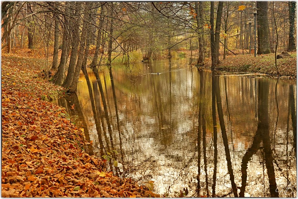 Kleiner Fotospaziergang 