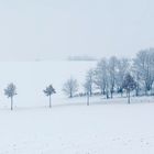 Kleiner Friedhof bei Oberfischbach 17